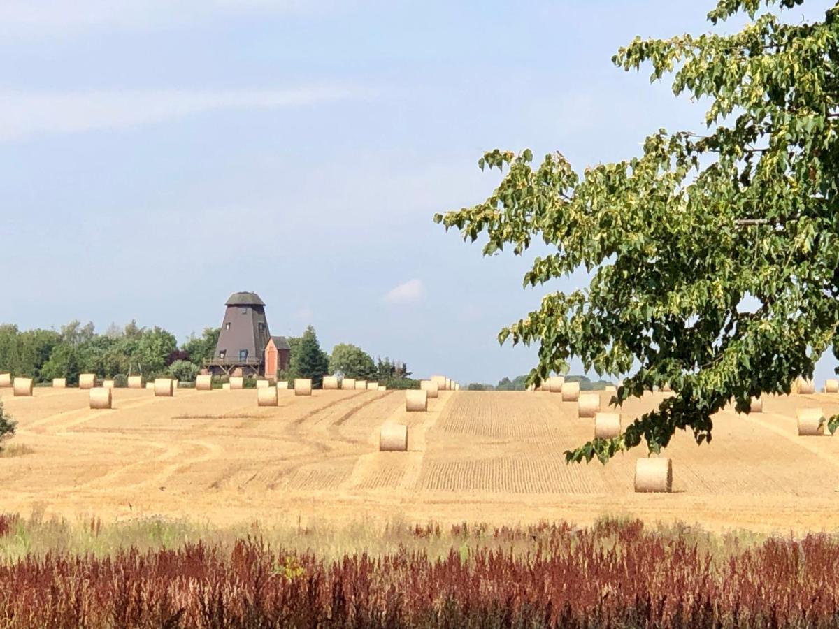 Es Gibt Nichts Zu Tun - Ostsee Naehe Usedom Spantekow Luaran gambar