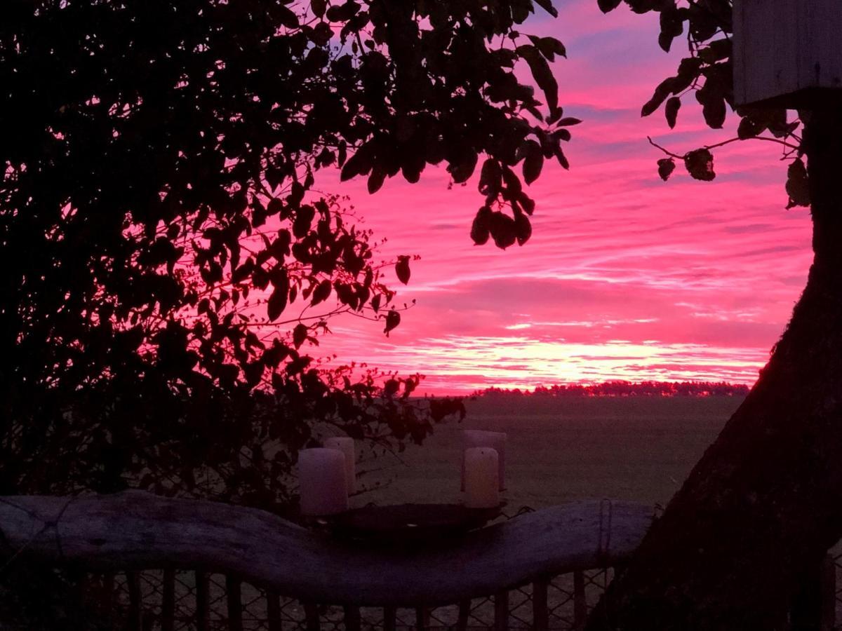 Es Gibt Nichts Zu Tun - Ostsee Naehe Usedom Spantekow Luaran gambar